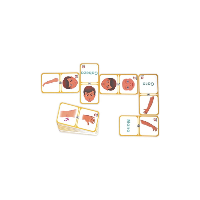 Dominó Partes del Cuerpo Humano