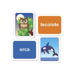 Memopares Imagen Texto