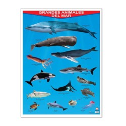 Póster Grandes Animales del Mar