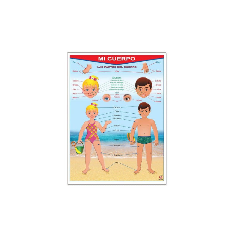 Póster Mi Cuerpo / My Body