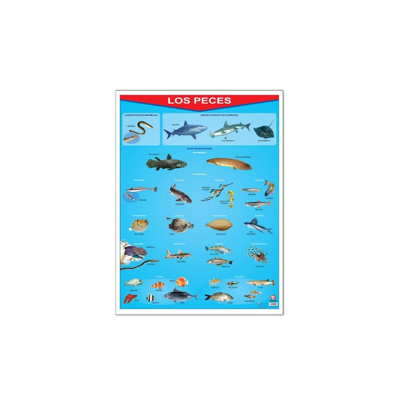 Póster Los Peces