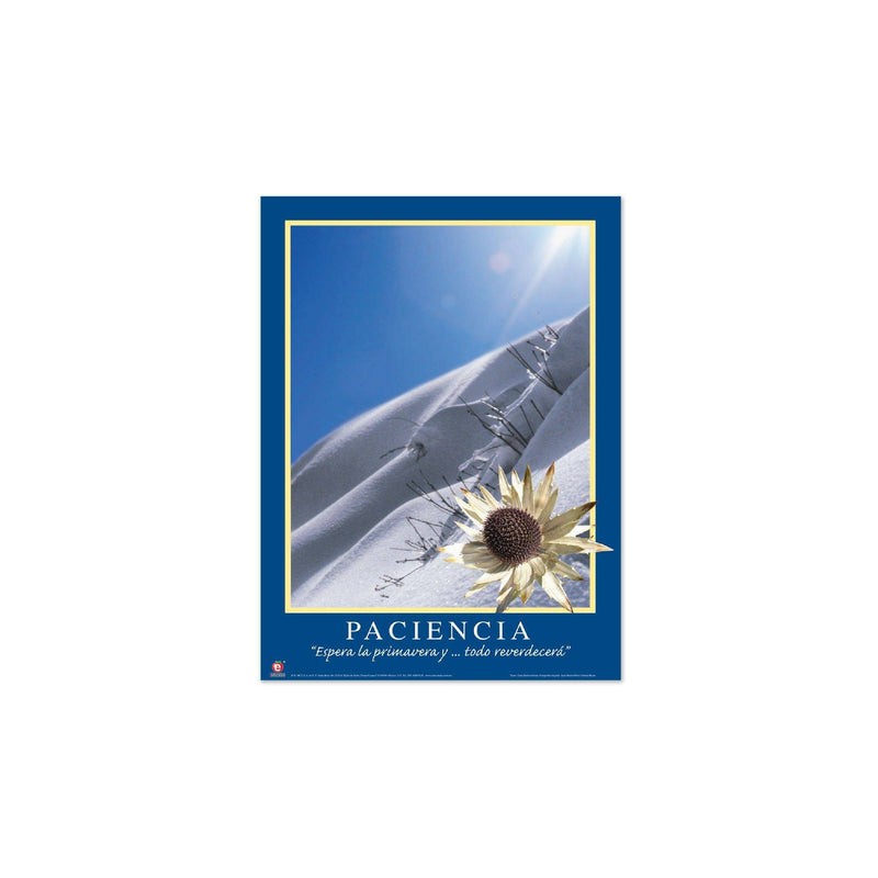 Póster Motivacional Paciencia