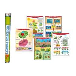 Colección de Pósters Bios